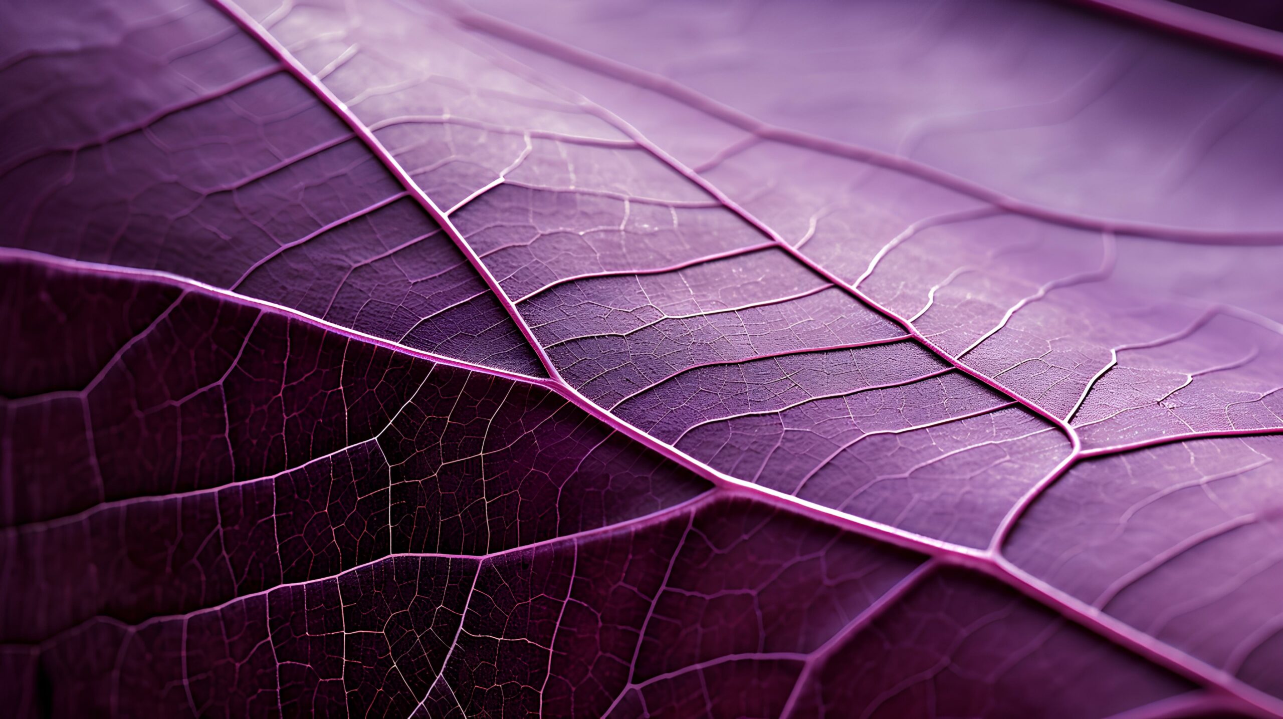 Detail of a purple leaf in macro with clear texture. generative AI
